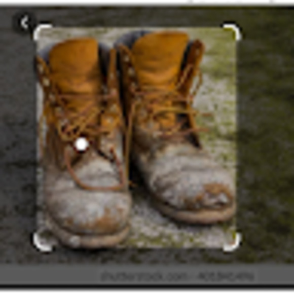 Meet your Posher, Annette - Picture 1 of 1